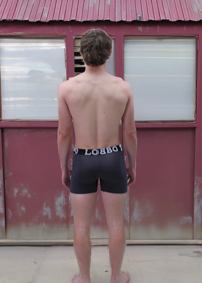 LOBBO Premium Men's Boxer Brief Underwear 2 Pack with Convenient Fly Feature