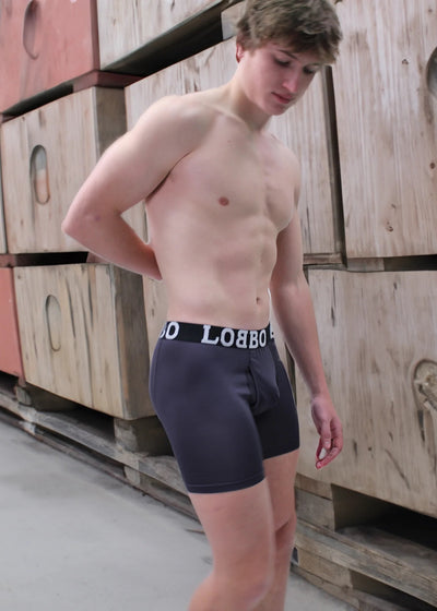 LOBBO Premium Sports Mesh Men's Boxer Brief 2 Pack with Convenient Fly-Front Design