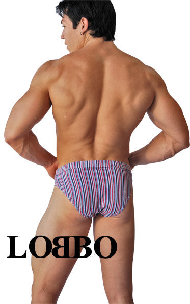 LOBBO Stripe Brief