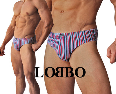 LOBBO Stripe Brief