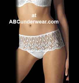 Lace Desire Modern Hipster Brief