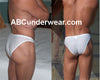 Limited Stock: Microfiber Sheer Stripe Bikini - Exclusive Offer-nds wear-ABC Underwear
