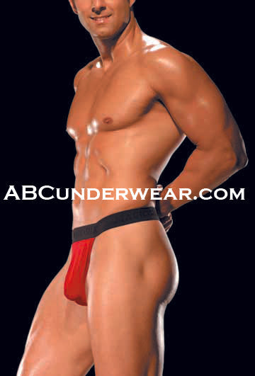Luxurious Men's Silk Thong with T-back Design