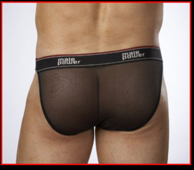 Male Power Sheer Mustang Bikini Underwear