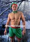 Man's Elf Costume, Sexy Holiday Wear for Men - BLOWOUT SALE!