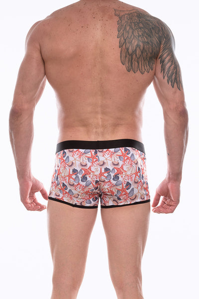 Men's Boxer Brief Underwear Featuring Seashell Design - By NDS Wear-NDS Wear-ABC Underwear