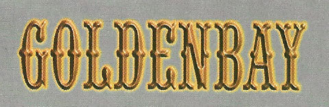 Men's Brief Underwear - Small