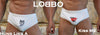 Men's Fun Underwear Printed Briefs-LOBBO-ABC Underwear