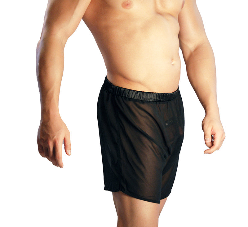 Mens See-through Mesh Shorts Loose Lounge Boxer Briefs Underwear