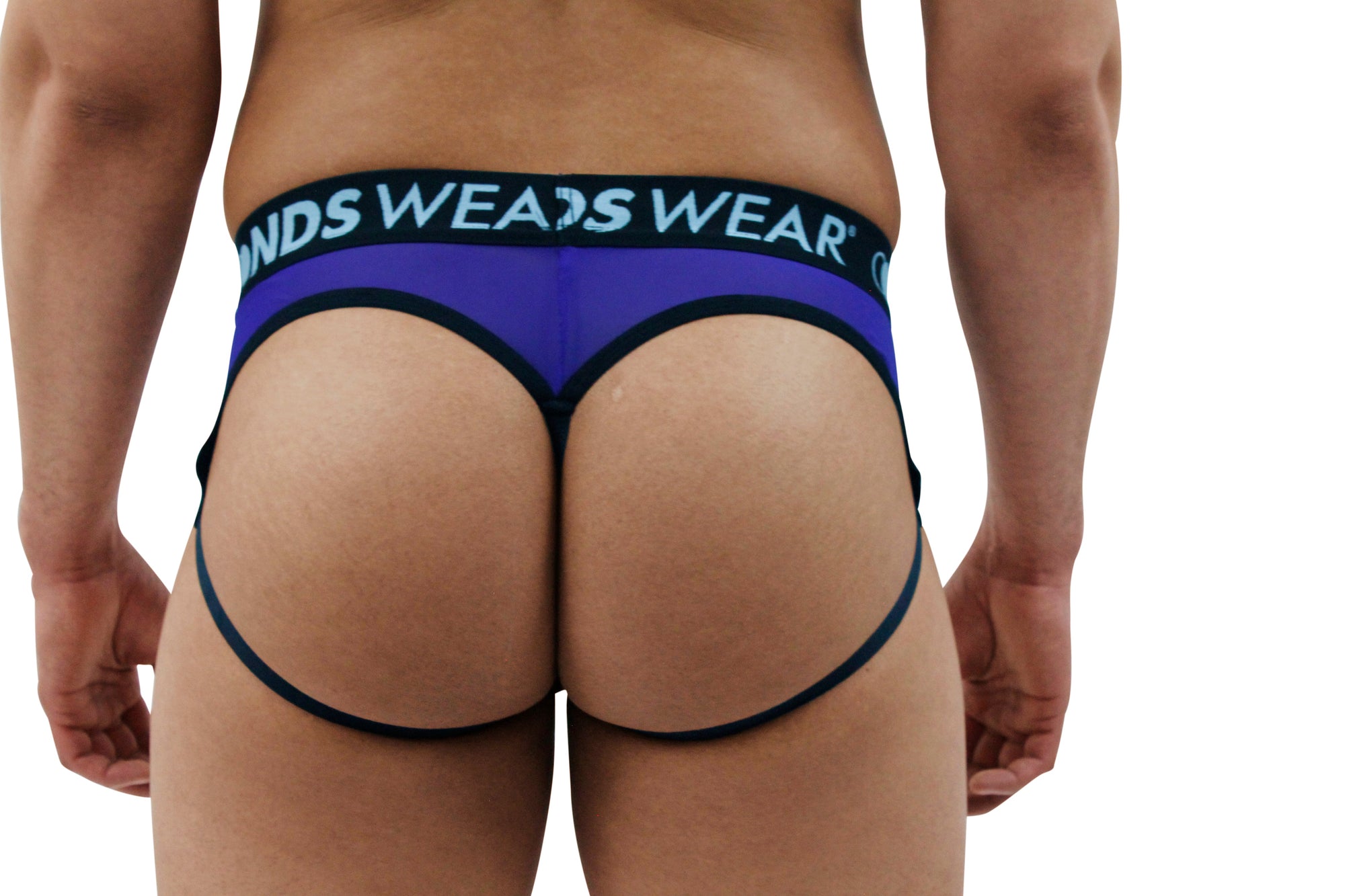 Men's Sheer Purple Jock String Thong