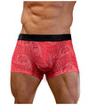 Men's Wild Red Stripes Sheer Trunk-NEPTIO-ABC Underwear