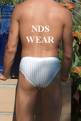 Microfiber White Sheer Stripe Brief - Clearance-NDS WEAR-ABC Underwear