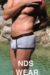 NDS Wear Contrast Silver Shorty Mens Underwear - BLOWOUT SALE!