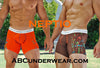 Neptio Picasso Paint Splashy Men's Boxer Brief Mens Underwear - BLOWOUT SALE!