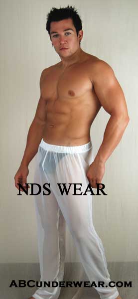 Net Lounge Pant, Sheer Men's Pants-NDS Wear-ABC Underwear