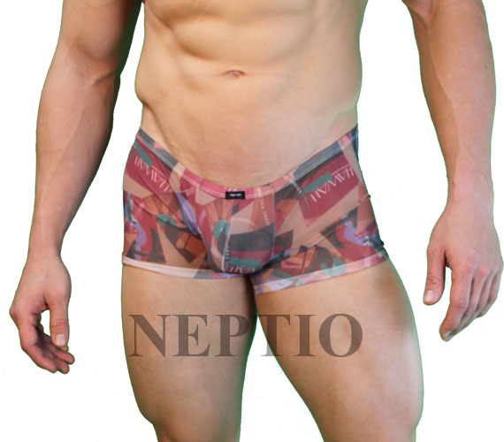 Pacific Shores Net Pouch Short