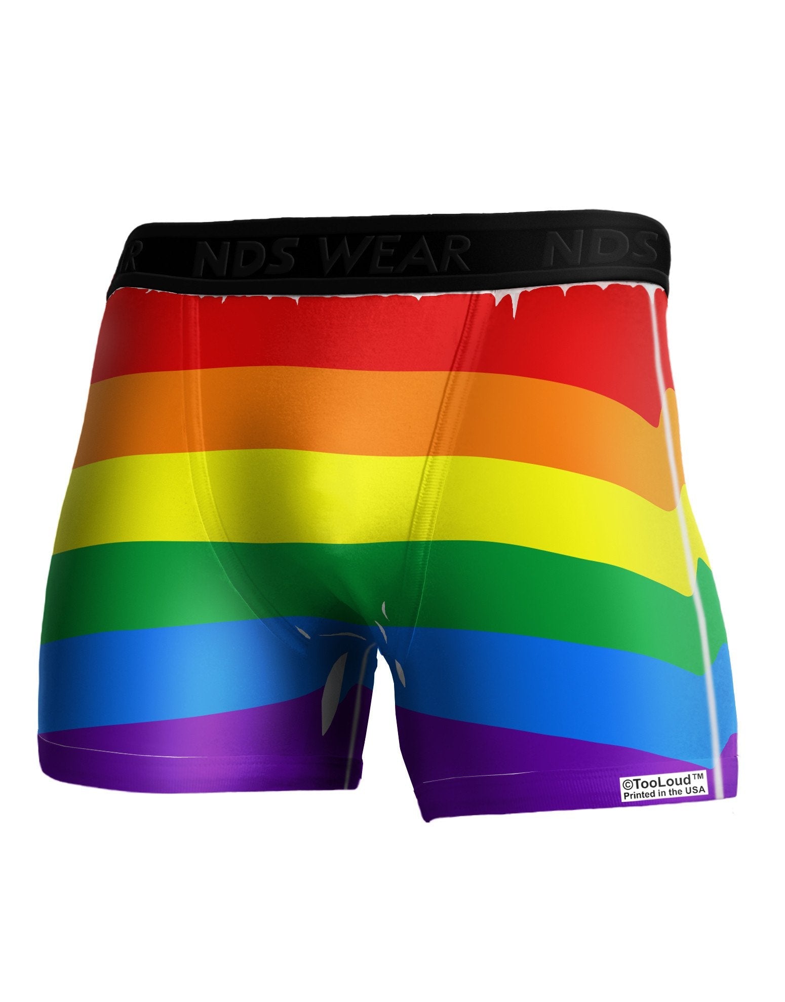 Rainbow Horizontal Gay Pride Flag NDS Wear Boxer Brief Dual Sided All Over Print by