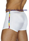 Rainbow Inset Swim Short for Men- Closeout-Male Power-ABC Underwear