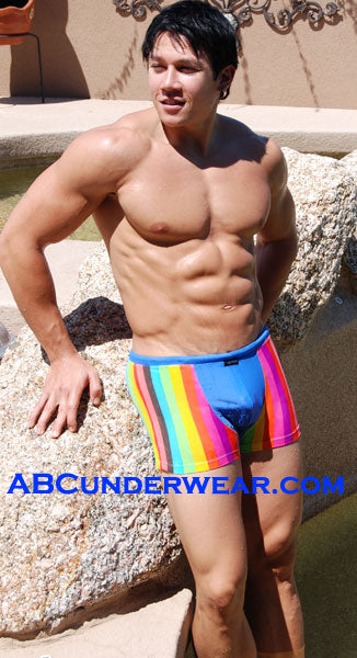 Rainbow Squarecut Swimsuit - BLOWOUT SALE!