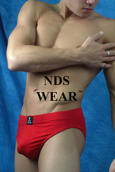 Rayon-Spandex Brief Clearance-nds wear-ABC Underwear