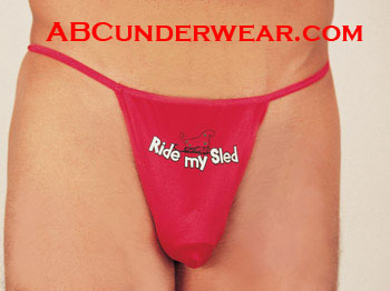 Ride My Sled Pouch
