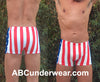 Riviera Flag Midcut Swimsuit-Greg Parry-ABC Underwear