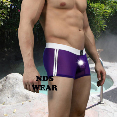 Rodolfo's Stunning Purple Sheer Men's Trunk - Clearance-NDS Wear-ABC Underwear