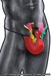 Rooster G-String with Sound Effect-Coquette-ABC Underwear