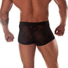 Sheer Black Panther Stripe Mini Boxer - BLOWOUT SALE!