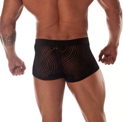 Sheer Black Panther Stripe Mini Boxer - BLOWOUT SALE!