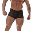 Sheer Black Panther Stripe Mini Boxer-NDS Wear-ABC Underwear