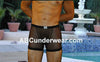 Sheer Boxer Brief-ABC Underwear-ABC Underwear