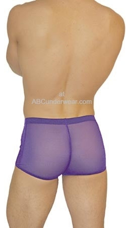 Sheer Pouch Boxer