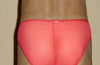 Sheer Roja Bikini Underwear Small - BLOWOUT SALE!