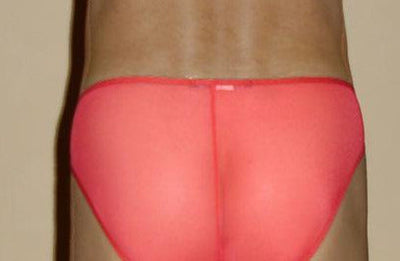 Sheer Roja Bikini Underwear Small - BLOWOUT SALE!