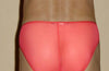 Sheer Roja Bikini Underwear Small-NDS Wear-ABC Underwear