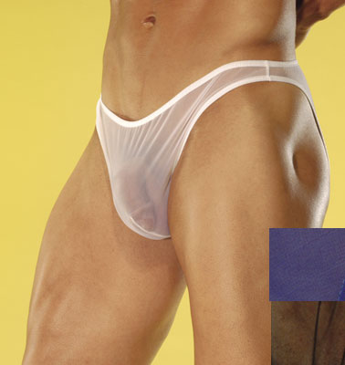Sheer Wonder Bikini Underwear-Male Power-ABC Underwear