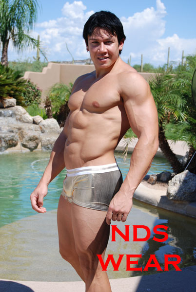 Silver Glimmer Men's Hot Short - Closeout