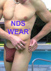 Sophisticated and Stylish Alexander Men's Clip Thong-NDS Wear-ABC Underwear