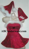 Stylish Women's Santa 4 Piece Ensemble-belimage-ABC Underwear