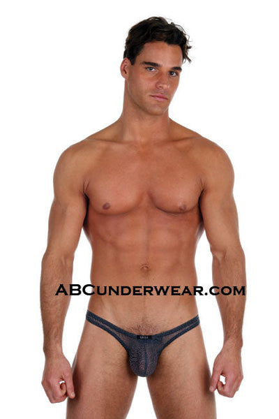 Stylish and Bold Gregg Homme Tigers Thong for Discerning Gentlemen-Gregg Homme-ABC Underwear
