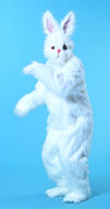 Supreme Bunny Costume-franco american-ABC Underwear