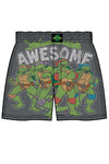 TMNT Retro Awesome Men's Boxer-Briefly Stated-ABC Underwear