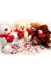 Valentines Day Sweetheart Teddy Bears