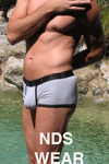 NDS Wear Contrast Silver Shorty Mens Underwear - Clearance