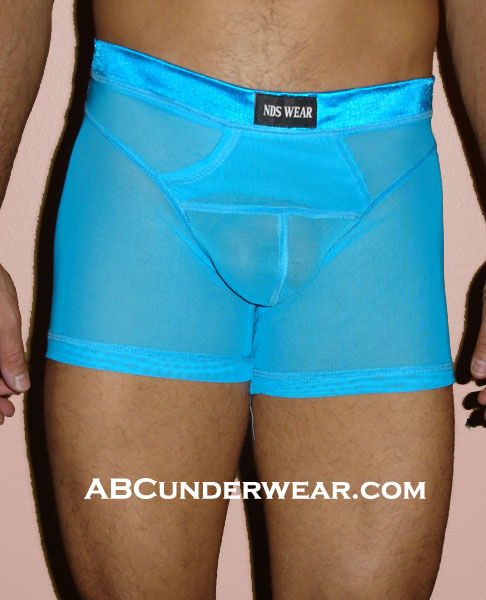 Sheer Net Boxer